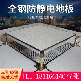 成都防靜電地板廠家 全鋼有邊防靜電活動(dòng)地板  廠家直銷(xiāo) 品質(zhì)款耐磨防靜電PVC地板
