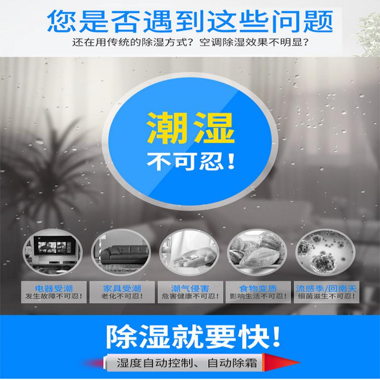 食品車(chē)間干燥機(jī)SL-990C