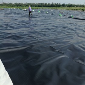 黑膜沼氣池廠(chǎng)家批發(fā)  耐腐蝕土工膜廠(chǎng)家  污水處理防滲膜廠(chǎng)家 尾礦堆放防滲膜廠(chǎng)家  垃圾填埋場(chǎng)防滲廠(chǎng)家