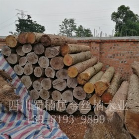 長期供應 金絲楠木原木 高質優(yōu)價