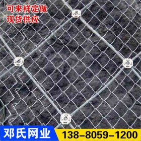 主動邊坡防護網(wǎng)坡面巖石土體加固網(wǎng)SNS高速公路護坡柔性防落石網(wǎng)