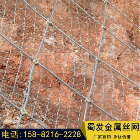 邊坡防護(hù)網(wǎng)廠家供應(yīng)主動山體防護(hù)網(wǎng) 防落石安全鋼絲繩網(wǎng)