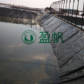 出口級hdpe防滲膜  美標(biāo)防滲膜  城建標(biāo)防滲膜   新國標(biāo)防滲膜