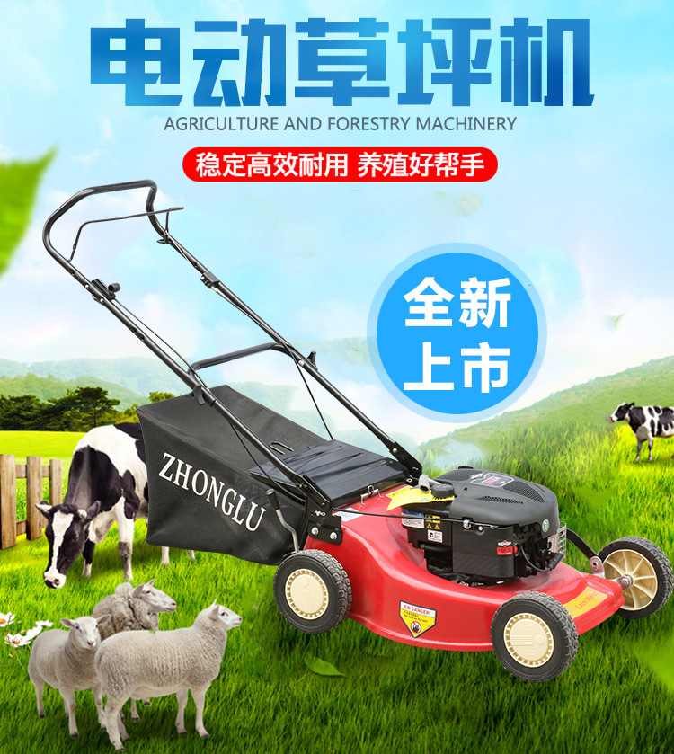 草坪修剪機(jī)  自走草坪修剪機(jī) 中綠本田草坪機(jī)價(jià)格 中綠鋁底盤草坪機(jī)中綠割草機(jī)