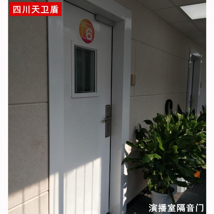 天衛(wèi)盾定制鋼質隔音門直播間錄音棚多功能廳電影院防盜防火隔音門