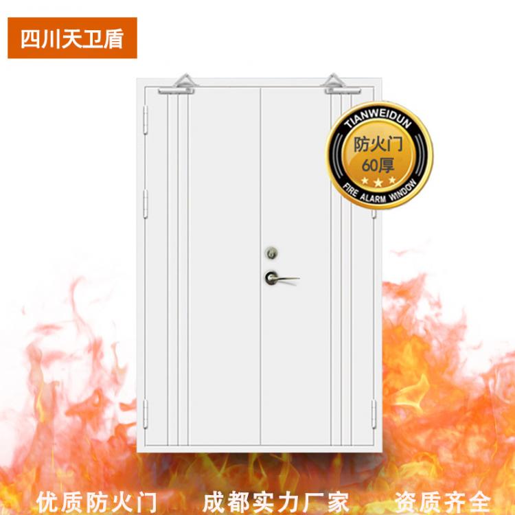 天衛(wèi)盾 鋼質(zhì)防火門機(jī)房定制門成都廠家GFM鋼制丙級乙級甲級防火門