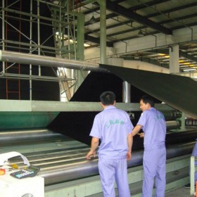 四川魚塘專用土工膜 養(yǎng)殖專用土工膜 魚塘護(hù)坡專用土工膜 填埋場(chǎng)用糙面膜