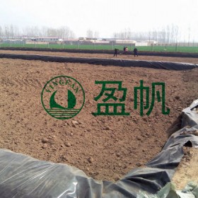 魚(yú)塘內(nèi)襯防滲膜 蝦池內(nèi)襯土工膜 海參圈護(hù)坡土工膜 豬場(chǎng)沉淀池防滲膜