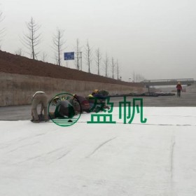 新疆人工湖天然鈉基膨潤土防水毯  新疆景觀河道膨潤土防水毯