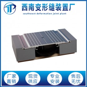 廣東變形縫廠家供應不銹鋼承重型地面變形縫