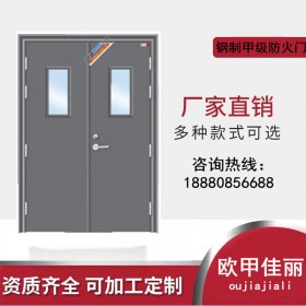 四川防火門(mén)廠(chǎng) 甲級(jí)鋼質(zhì)防火門(mén) 款式齊全