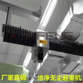 四川凈化工程無塵天車廠家,防靜電無塵天車,無塵醫(yī)療醫(yī)用起重機設備