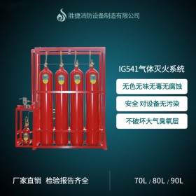 ig541氣體滅火系統(tǒng)自動滅火裝置廠家采購抵用券541元