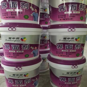 雪中花界面劑 成都處理劑 墻固地固 粘結(jié)強(qiáng)度高