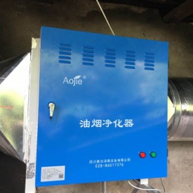 復(fù)合式油煙凈化器 餐飲油煙凈化器 環(huán)保凈化設(shè)備 四川奧潔免費送貨