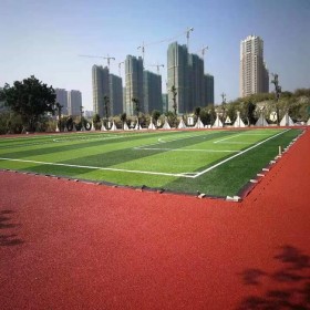 游樂場(chǎng)道路鋪面塑膠跑道 全塑型塑膠跑道 體育館塑膠跑道