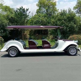 游覽觀光車(chē) 觀光電動(dòng)車(chē) 現(xiàn)貨供應(yīng) 廠家直銷(xiāo)