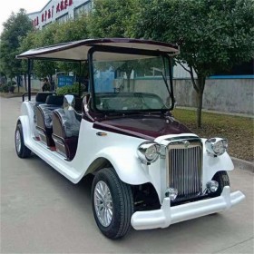 復(fù)古觀光車(chē) 白色 廠家直銷(xiāo) 可定制各類(lèi)型觀光車(chē) 阿童木