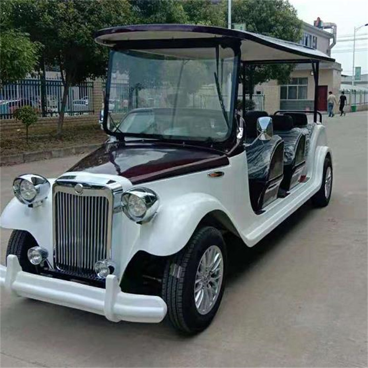 阿童木 電動(dòng)老爺車 老爺觀光車 廠家直銷