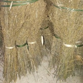 竹建筑有哪些突出優(yōu)點(diǎn)？