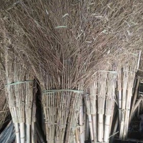 竹建筑有哪些突出優(yōu)點？