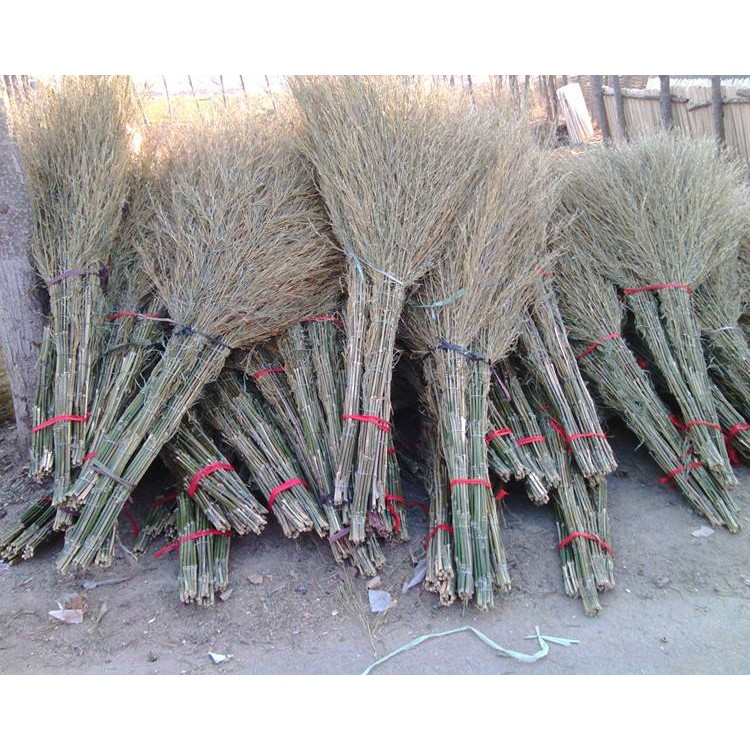 竹建筑有哪些突出優(yōu)點？