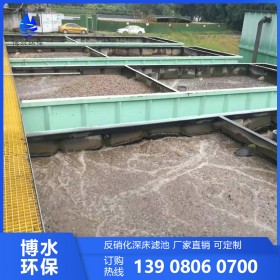 樂(lè)山 反硝化深床濾池 進(jìn)口濾磚供應(yīng) 市政污水處理 廠家直銷