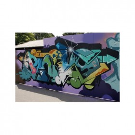 成都墻體彩繪 室外墻面彩繪涂鴉 資深畫師原創(chuàng)設(shè)計