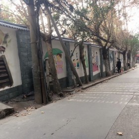 成都墻體彩繪 社區(qū)文化墻彩繪 專業(yè)團(tuán)隊繪制