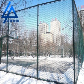 學(xué)校操場(chǎng)圍欄 運(yùn)動(dòng)場(chǎng)鐵絲護(hù)欄 體育場(chǎng)圍欄廠家直銷