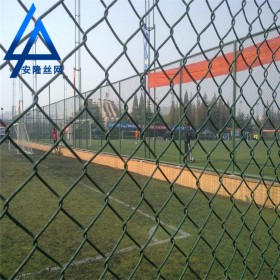 廠家直銷勾花網(wǎng) 防護(hù)網(wǎng) 隔離網(wǎng) 體育場(chǎng)隔離欄運(yùn)動(dòng)場(chǎng)隔離欄耐腐蝕
