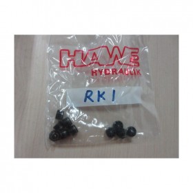 單向閥RK1哈威HAWE單向閥批發(fā)價(jià)