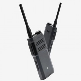 極蜂（BeeBest）D301 智能數(shù)字對(duì)講機(jī)  支持藍(lán)牙寫(xiě)頻