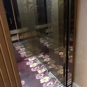 載人電梯 寫字樓酒店小區(qū)電動升降平臺 辰興機電定制售后無憂