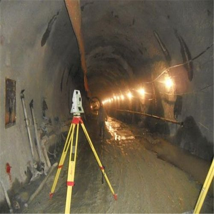 坐標(biāo)放樣 控制點布控測量 規(guī)劃定樁測量 專業(yè)測量團隊