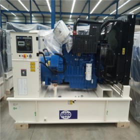成都發(fā)電機(jī)組廠家直銷  潤通/雅馬哈/威爾信柴油發(fā)電機(jī)組 現(xiàn)貨供應(yīng)