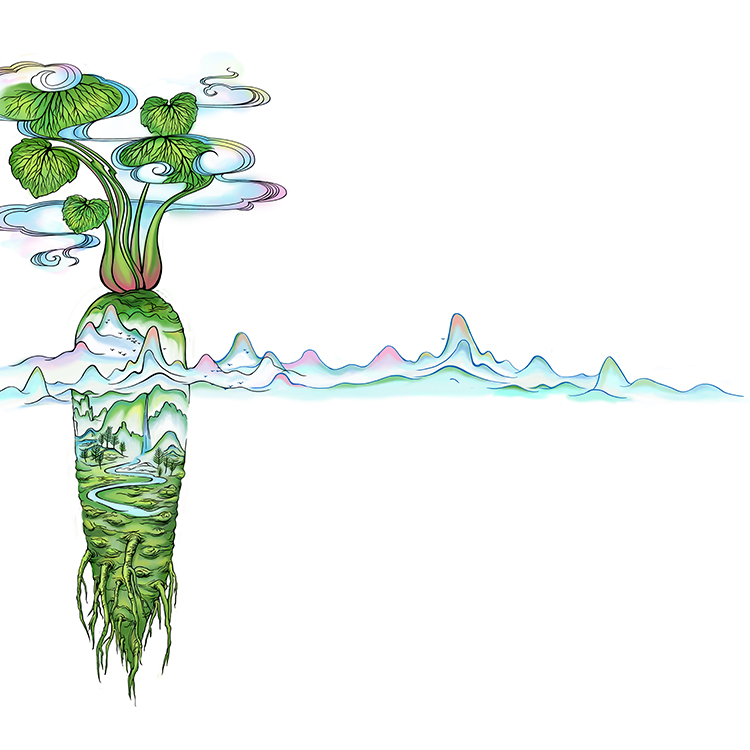 鳳梨酥的包裝設(shè)計 創(chuàng)意禮品包裝設(shè)計 藏香包裝設(shè)計 小盒包裝設(shè)計