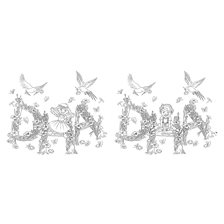 土特產(chǎn)新疆 土特產(chǎn)設(shè)計(jì) 土特產(chǎn)介紹 特產(chǎn)設(shè)計(jì)包裝