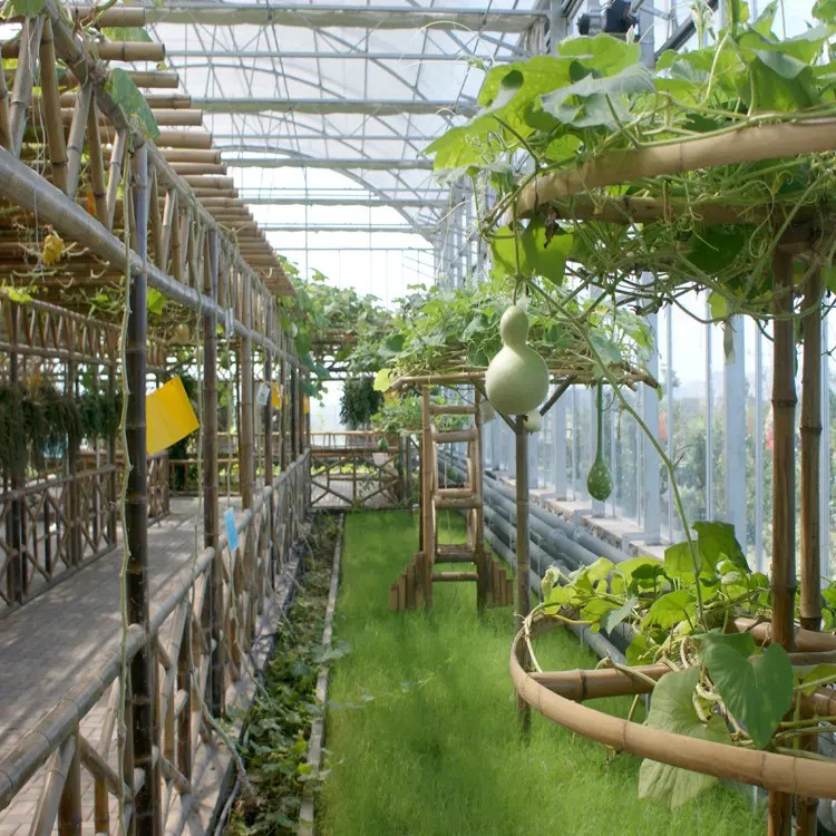 13B974BD-452C-448D-A417-9C6D26CC583C