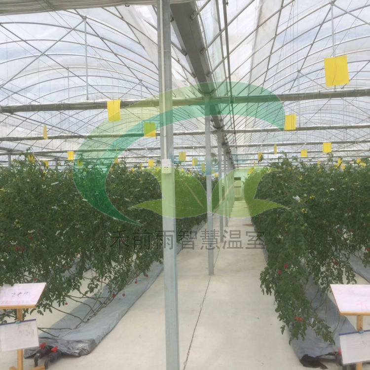 無(wú)土栽培苗床 蔬菜瓜果種植大棚 花卉種植潮汐移動(dòng)苗床