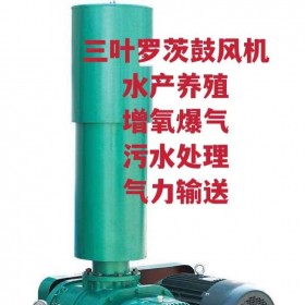 羅茨風(fēng)機(jī) 羅負(fù)壓風(fēng)機(jī) 污水處理 魚塘養(yǎng)殖增氧機(jī)增氧泵 高壓鼓風(fēng)機(jī)