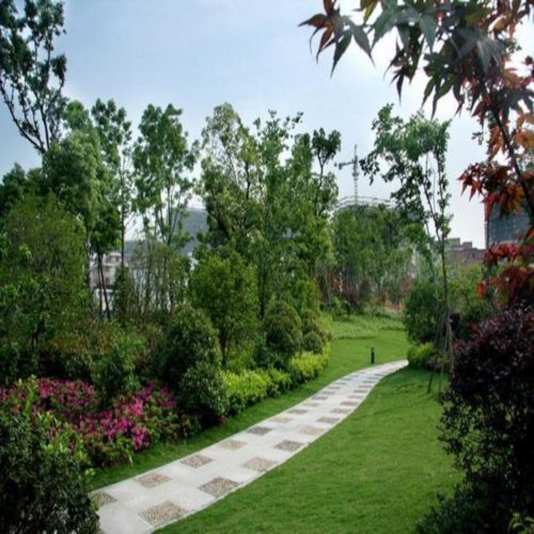 承接園林綠化景觀工程項目 專業(yè)設(shè)計施工廠家