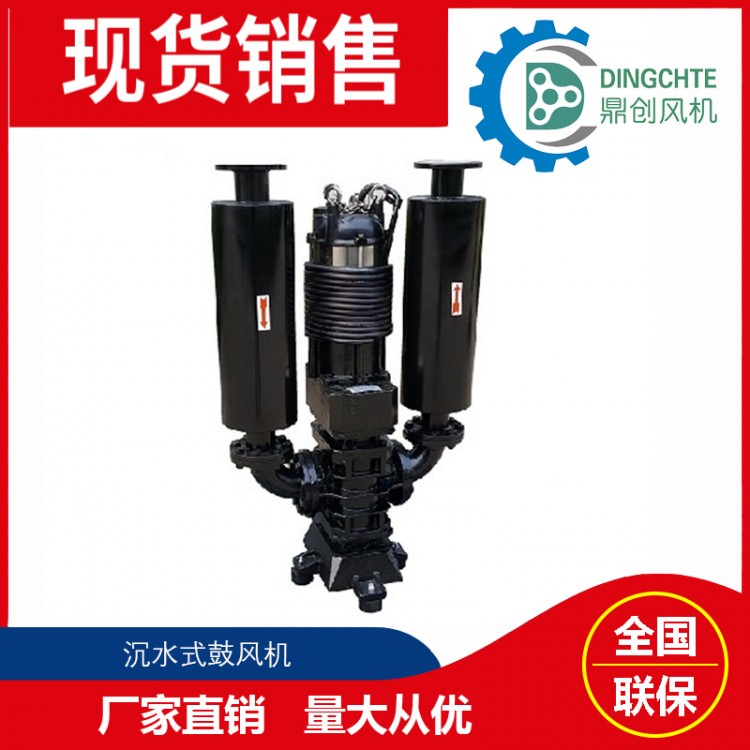 DSW-5022沉水式鼓風(fēng)機(jī)   300米河道治理曝氣裝置沉水曝氣機(jī) 噪音低 維護(hù)少