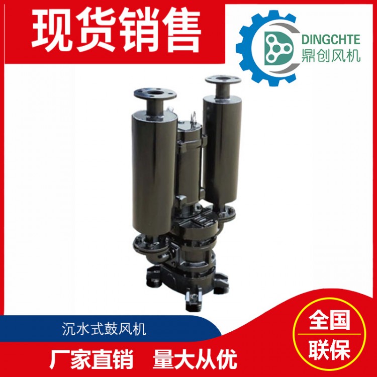 DSW-10075沉水式鼓風機   污水處理廠曝氣裝置沉水曝氣機 噪音低 維護少