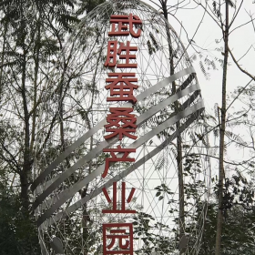 戶(hù)外景區(qū)不銹鋼藝術(shù)品  設(shè)計(jì)制作 可定制