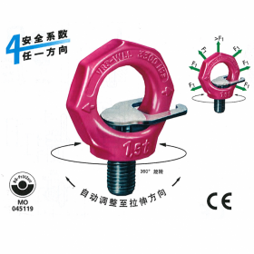 多來勁100級 吊環(huán)螺釘螺母 焊接螺栓吊點(diǎn) DOLECO80級 德國品牌