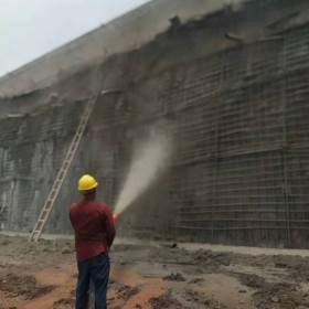 成都力比特螺桿濕噴機  混泥土濕噴機 地鐵隧道專用 灌漿泵  螺桿式  注漿機 噴漿機  礦用濕噴機  輸送泵 混凝土輸送 新型專利  廠家直銷 品質(zhì)保障