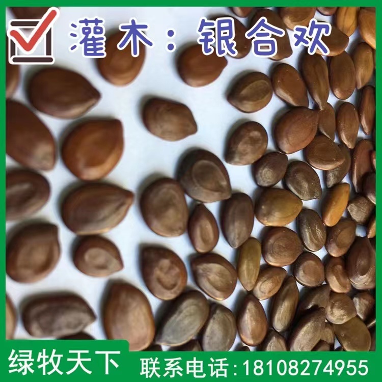 馬蹄金價(jià)格