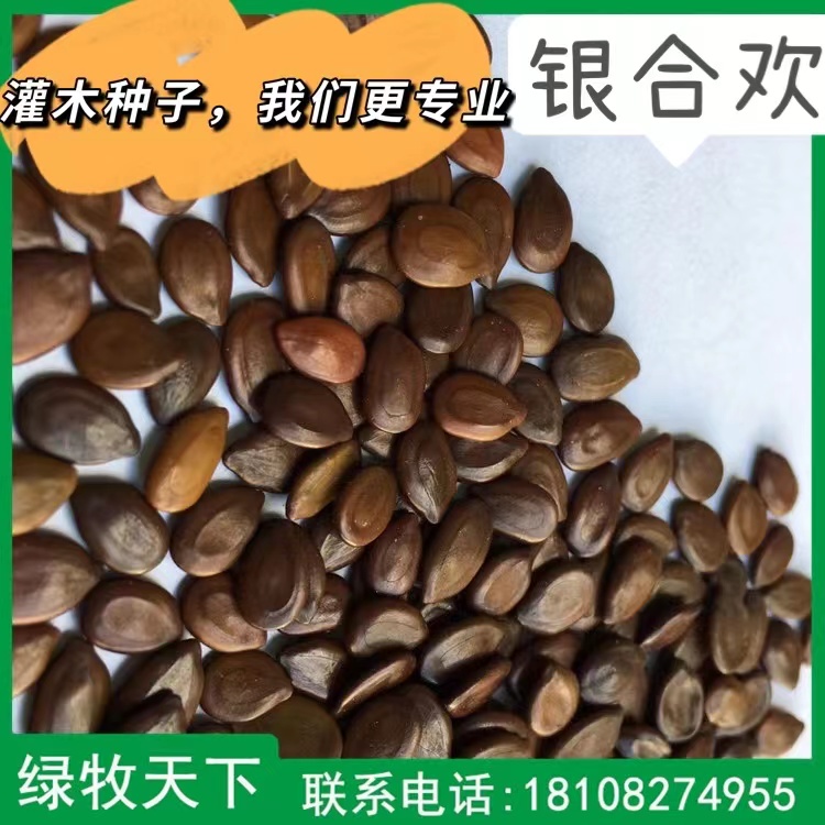 馬蹄金價(jià)格