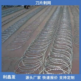 利鑫發(fā)-刀片刺繩廠家-現(xiàn)貨供應(yīng)-刀片刺繩-刀片刺網(wǎng)-刀片網(wǎng)